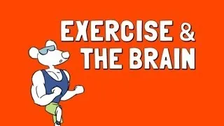 Exercise and the Brain