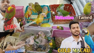 Mumbai biggest pets shop! #mustwatch Wajidexotic #petslovers