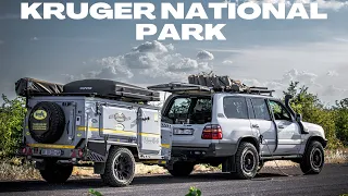 THE NORTH OF KRUGER | IS IT WORTH IT? TSENDZE & PUNDA MARIA | Episode 1