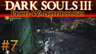 Dark Souls 3 Profi Walkthrough #7 | Pfad der Opferungen