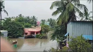 Thoothukudi flood in teachers colony#thoothukudi #flood