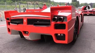 Ferrari FXX - INSANE V12 SOUNDS!!