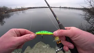 Воблер Zip Baits Orbit 80 SP від Bearking. Гра воблера в воді і коротенький огляд. Fishing