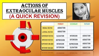 Quick Revision! Actions of Extraocular Muscles | Squint Simplified For Medical Students