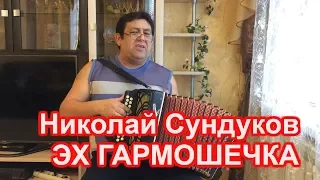 Николай Сундуков - Эх Гармошечка Играй 18+