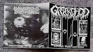 Gangrene  Discharge / Gastropod FULL Split (2022 Goregrind / Mincecore)