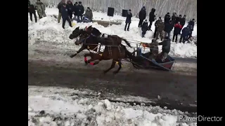 #наши_кони, #припас, #скачки,             Масленица . Сибирь . 29 Февраля 2020 . Скачки - тройка .