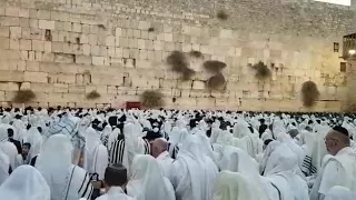 Cohanim blessing at the kotel. Sukot