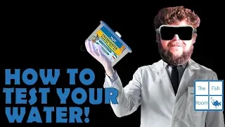 How to test your Aquarium Water using an API Test Kit!