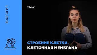 Строение клетки. Клеточная мембрана | Биология