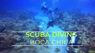 TROPICAL SEA DIVERS, DIVING IN  BOCA CHICA, DOMINICAN REPUBLIC