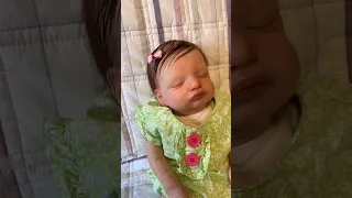 Manhã da Minha Bebê Reborn