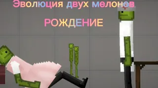 Эволюция двух мелонов РОЖДЕНИЕ melon playground