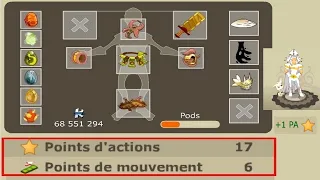 [Dofus Retro] Cra 200 17/6 full exo (présentation)