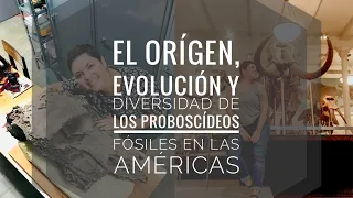 El orígen, evolución y diversidad de los proboscídeos fósiles en las Américas