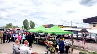 Еще один городок/Такой сметаны я давно не ела/Пирожки с яйцом и луком в духовке/