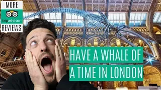 Places to Visit & Avoid in London - ep 2
