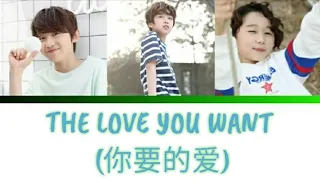 [CC] BOY STORY - The love you want (你要的爱 ) | Lyrics [Chin/Pinyin/INA]