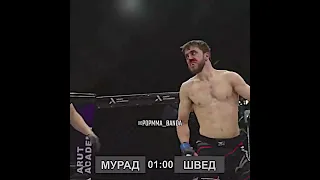 Мурад и Швед зарубились #popmma