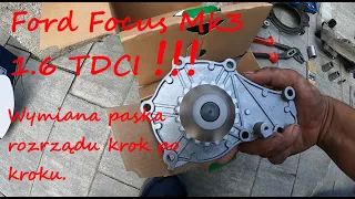 Ford Focus Mk3 1.6 TDCI Wymiana rozrządu krok po kroku!!!