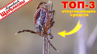 ЛУЧШИЕ отпугивающие средства для защиты от КЛЕЩЕЙ! ТОП-3! Честный БАТЛ