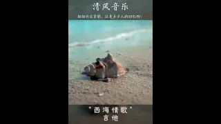 "西海情歌 吉他弹唱 超好听"