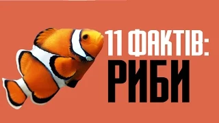 11 цікавих фактів риб та інших морських тварин і жителів
