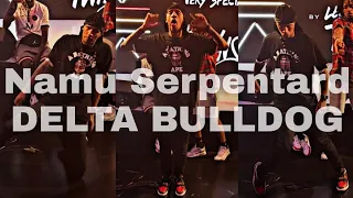 Larry [Les Twins] ▶Namu Serpentard - DELTA BULLDOG◀ |Nigeria 2021| [Clear Audio]