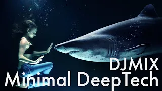 【作業用】やっぱミニマル最高Minimal/DeepTech DJ MIX 最新サウンドBEST