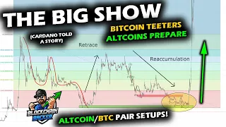 BITING NAILS as Bitcoin Price Chart Lingers, Altcoin Market vs BTC Pairs, Cardano Tells A Story