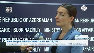 «Мнацаканян не может говорить о создании условий мира» - МИД Азербайджана