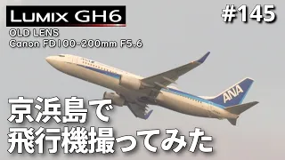 【vlog】京浜島で飛行機撮ってみた【GH6】 #145