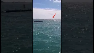 Дельфины Пляж Ривьера Сочи 2021
