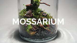 Mossarium || Moss Terrarium