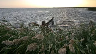 Осенняя охота на утку, как прошло открытие.