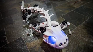 5 INCREDIBLE Animal Robots