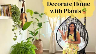 Home decoration ideas with Plants | घर को पौधों से सजाने के नए और सुंदर तरीके Tips to decorate home