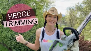 Hedge Trimming- How To