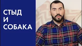 СТЫД И СОБАКА | СЕКРЕТЫ СЧАСТЛИВОЙ ЖИЗНИ | ПАВЕЛ ПЕТЕЛЬ