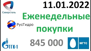 Покупка Северсталь Русгидро ТГК-1 МГТС Дивиденды Инвестиции Портфель инвестиций в акции компаний