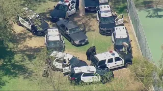 Cow captured after being spotted at La Puente park