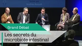 Les secrets du microbiote intestinal | Grand Débat | CNRS