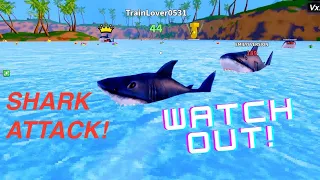 Epic Shark Bites! Watch me grow to the scariest Shark in Roblox!