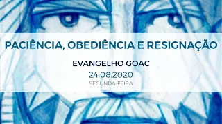 PACIÊNCIA, OBEDIÊNCIA E RESIGNAÇÃO - EVANGELHO 24/08/2020