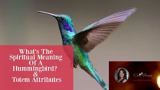 What's The Spiritual Meaning Of A Hummingbird? & Totem Attributes