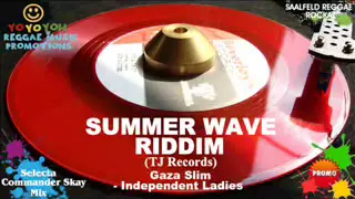 Summer Wave Riddim Mix [May 2012] TJ Records