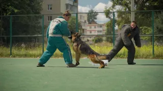 🐕‍🦺🏆Ржевский Рубеж 2022