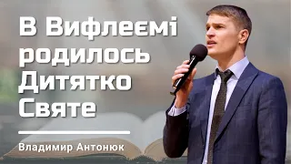 В Вифлеємі родилось Дитятко Святе - Песня - Владимир Антонюк