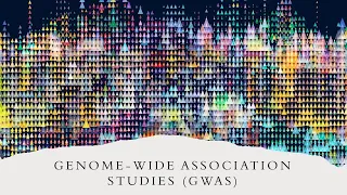 Understanding Genome Wide Association Studies (GWAS) Explained in 7 Minutes