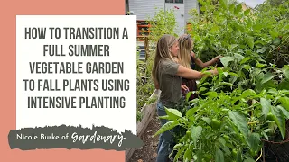 How to Transition a Full Summer Vegetable Garden to Fall Plants Using Intensive Planting